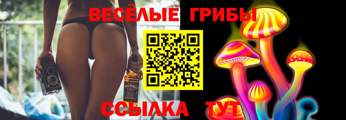 Псилоцибиновые грибы Psilocybe  Вход с VPN  Белорецк 